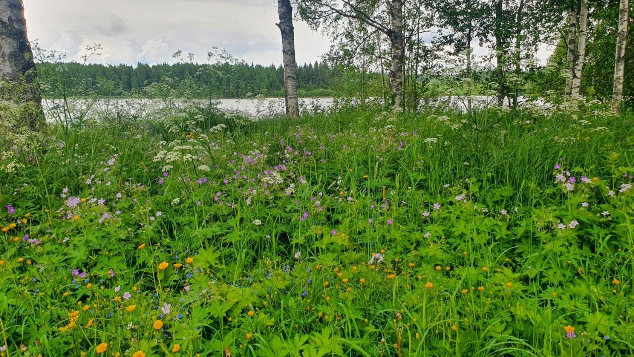 Viihtyisae Kolmio Jaerven Rannalla Haapavesi Exterior foto
